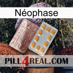 Néophase new13